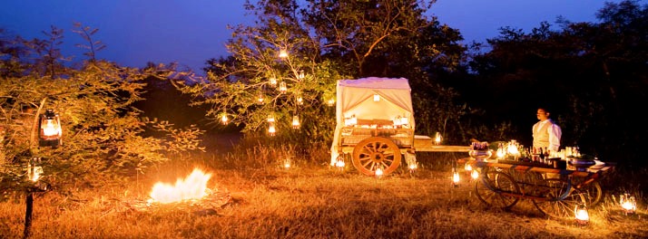 717/Taj Pashan Garh Panna National Park - Panna 06.jpg